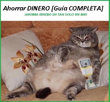Ahorrar dinero meme de gato